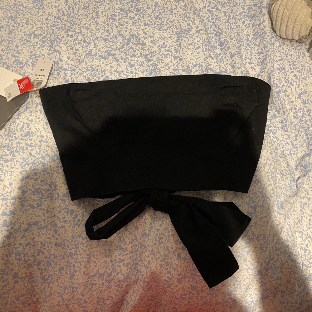 Aritzia Crop Top